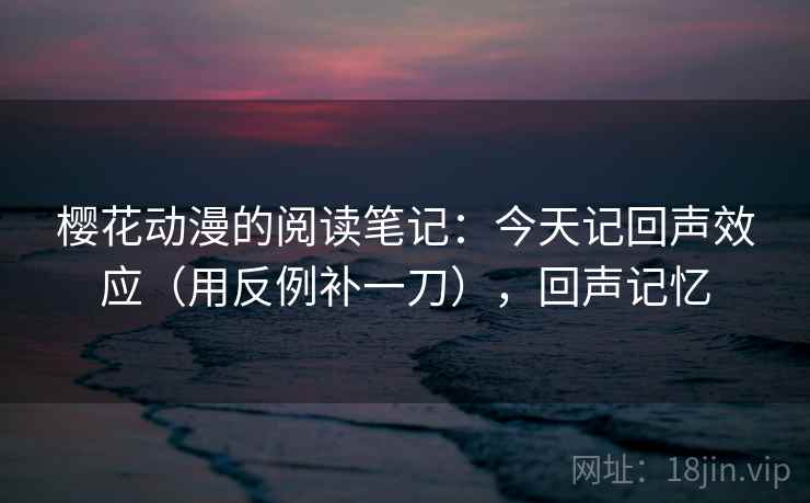 樱花动漫的阅读笔记：今天记回声效应（用反例补一刀），回声记忆