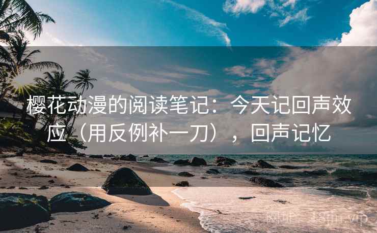 樱花动漫的阅读笔记:今天记回声效应(用反例补一刀),回声记忆
